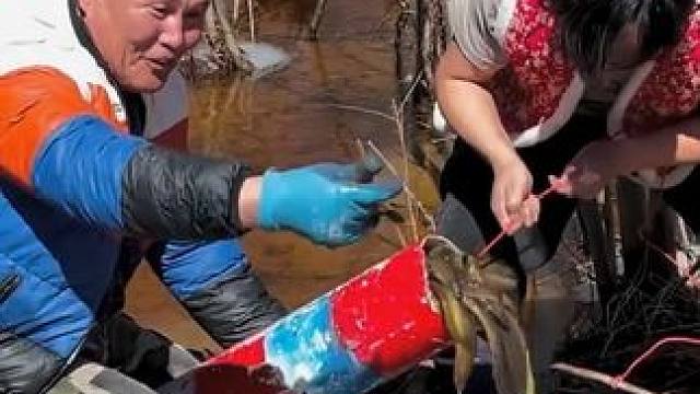 #户外捕鱼 #好多鱼