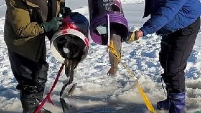 #户外捕鱼 #好多鱼