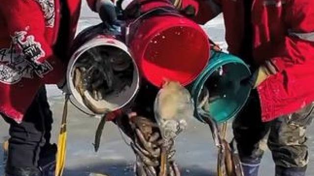 #户外捕鱼 #好多鱼