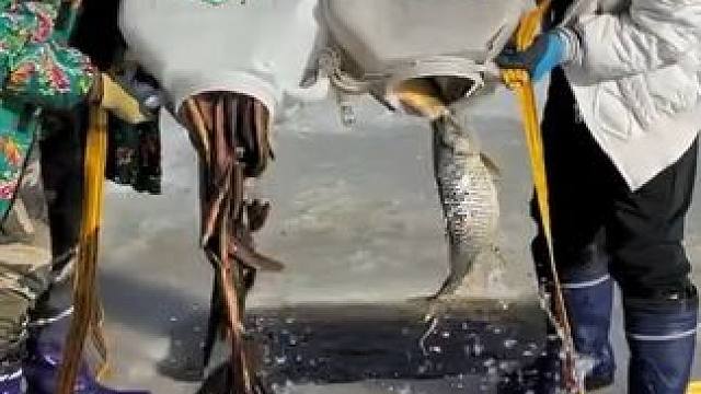 #户外捕鱼 #好多鱼