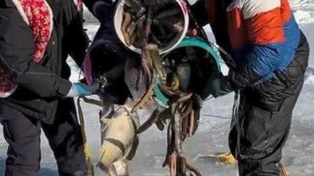 #户外捕鱼 #好多鱼