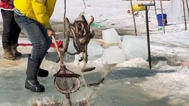 #户外捕鱼 #好多鱼