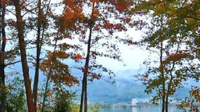 #随手拍冬日美景 ，仿佛置身于画卷中 。台州长潭湖上垟乡。