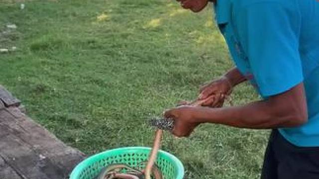 来来来来吃辣条了 #东南亚美食 #原始美味#民族特色美食 #东南亚特色美食