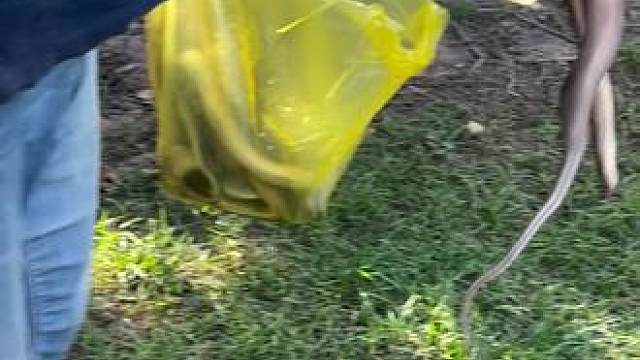 油炸辣条 #农村美食#乡村美食#农村生活