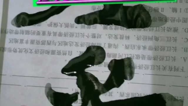 你每天有习惯性练字 把写字变成一种生活吗 ？