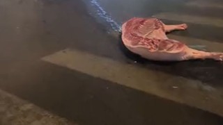 要什么道德？先道先德