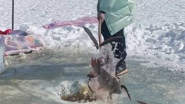 #户外捕鱼 #好多鱼