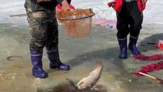 #户外捕鱼 #好多鱼