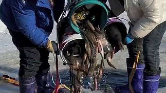 #户外捕鱼 #好多鱼