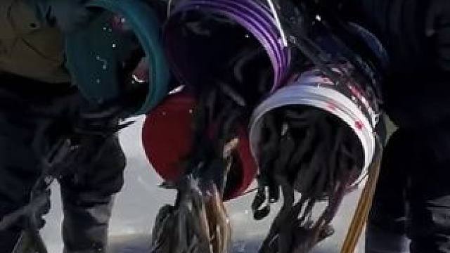 #户外捕鱼 #好多鱼