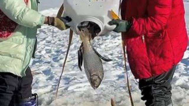 #户外捕鱼 #好多鱼