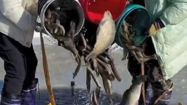 #户外捕鱼 #好多鱼