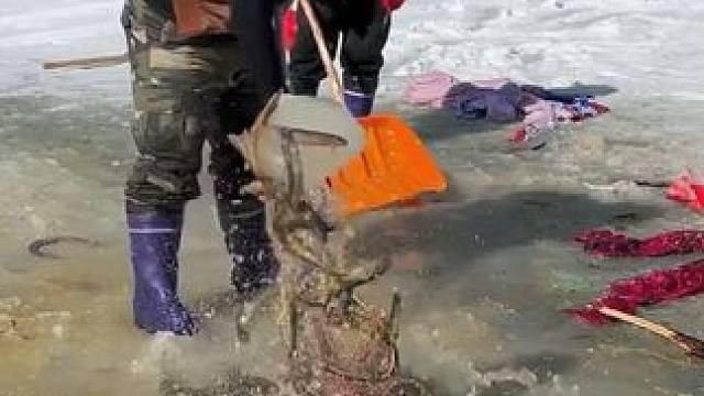 #户外捕鱼 #好多鱼