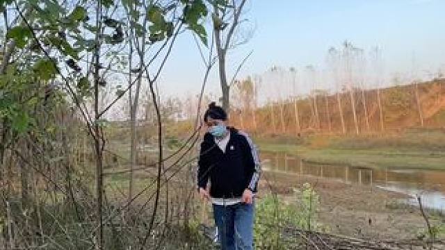 熊我 “半吊子眼里没点水”整天瞎出溜 咋了又…..#砍柴  #乡愁记忆 #农村小土狗 #普通人的生活