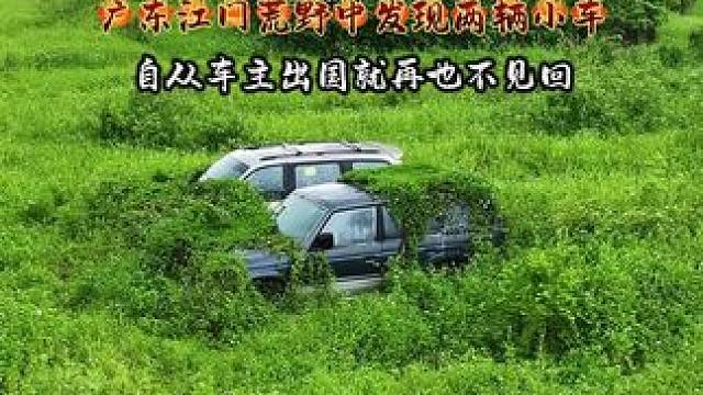 不知谁将两辆小车停放在江门田中，旁边还有一栋百年别墅，车辆早已被杂草覆盖，也不知车主去了哪里？这车还