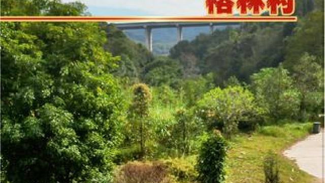 永安风光-第一百集，农村是富人眼里的天堂，是穷人眼里的荒凉，是诗人笔下的远方，是游子做梦都会想到的地