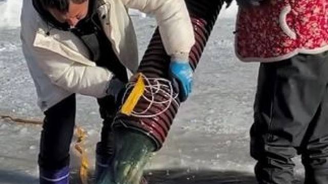 #户外捕鱼 #好多鱼