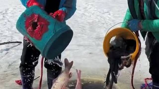 #户外捕鱼 #好多鱼