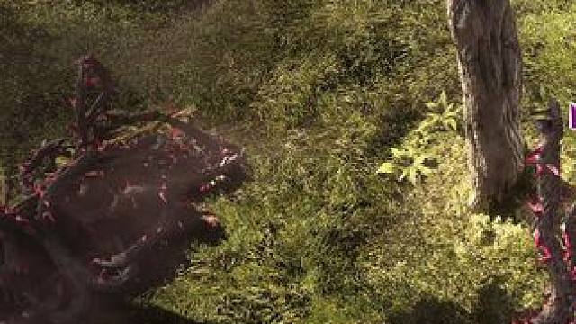 流放之路2 佣兵前期新手攻略，起步开荒。 #流放之路2 #流放之路佣兵 #流放之路降临 #游戏搬砖 