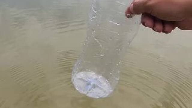 塑料瓶水煮鸡蛋 #舌尖上的美食 #农村美食记录生活 #农村生活 #窑鸡窑红薯 #美味窑鸡