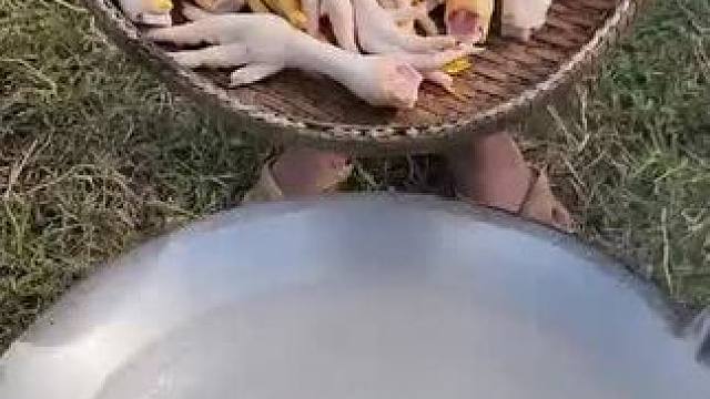 鸡爪美食 #农村美食记录生活 #舌尖上的美食 #农家院农家菜农家生活 #农村人的生活 #真材实料才能