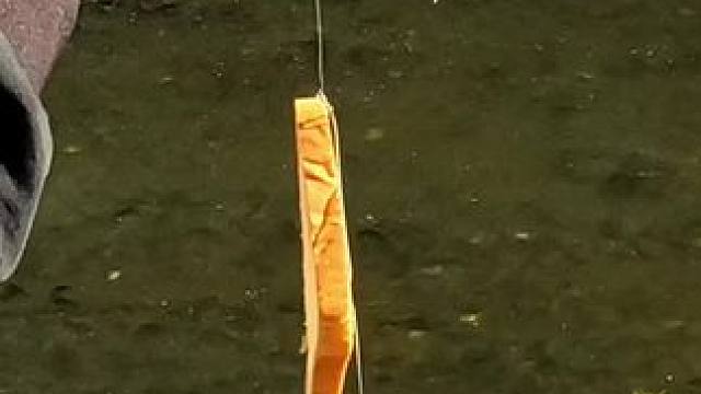 #12月的鱼应该怎么钓