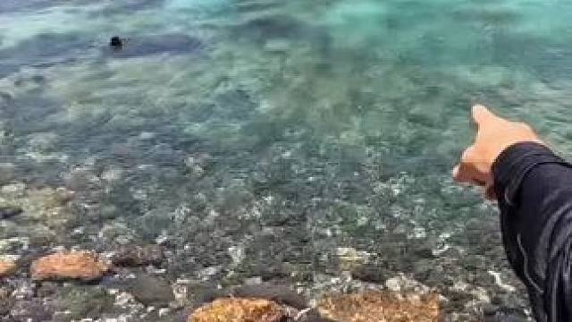 #这鱼哪个钓友看了不羡慕 #12月的鱼应该怎么钓