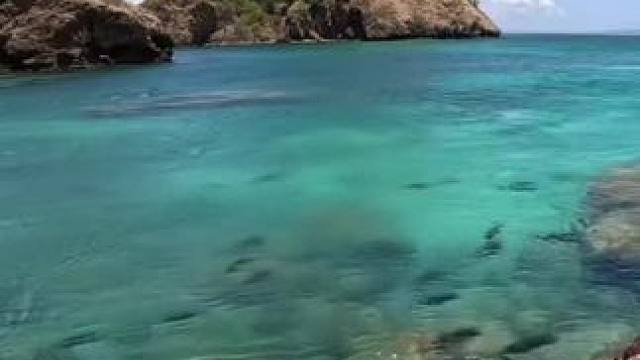 #这鱼哪个钓友看了不羡慕 #12月的鱼应该怎么钓 #海钓