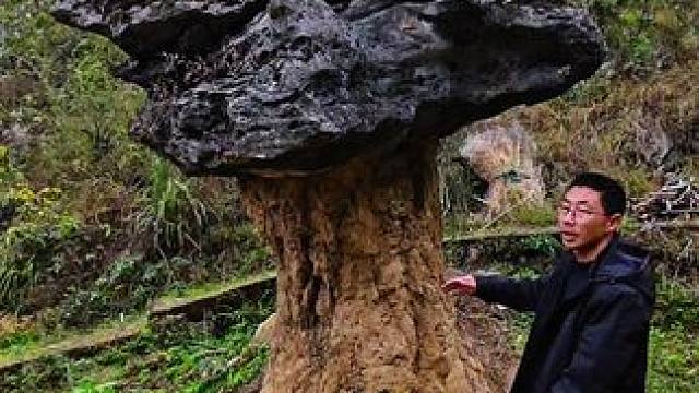 据说这块石头已经存在在这里上亿年的时间了，难道它下面的土就不会随着岁月的流逝而辉化吗？#神秘巨石 #