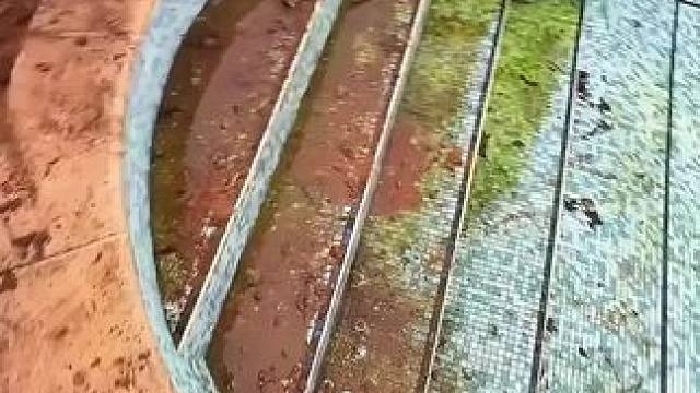 我发布了一个新视频，快来围观吧！