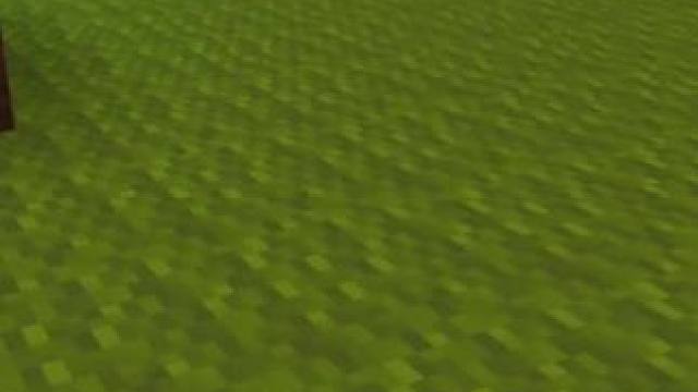 #我的世界 #Minecraft