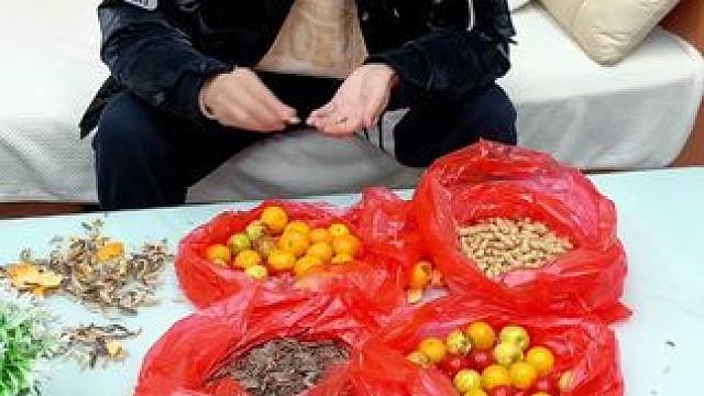 家用南瓜干果盘，网红客厅双层零食可爱创意果盒春节年货果盘#干果盘 #果盘 #新年果盘 #双层果盘