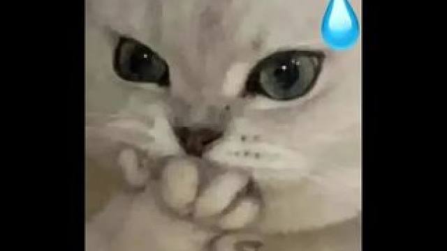 #高端商战往往以最朴素形式展开 #二代赛道能有多卷 二代们原来这么抽象的吗！