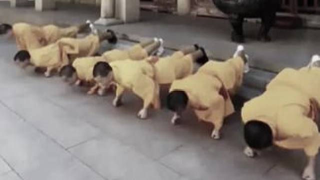 南少林武术的基本功#弘扬中华武术#功夫#防身术#功夫