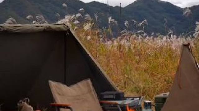 寂寥又快乐 #露营报告