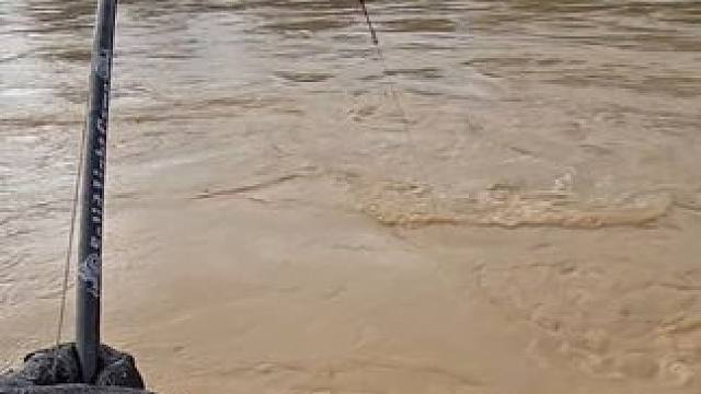 这鱼哪个钓友看了不羡慕~