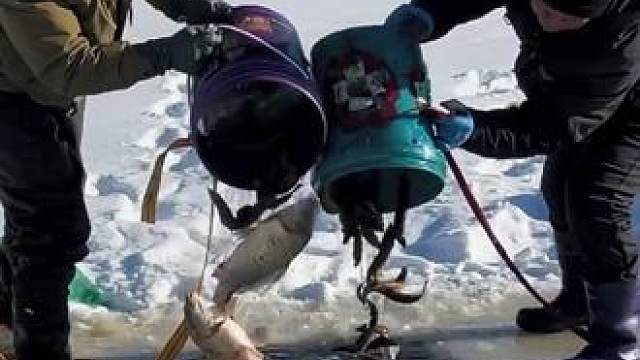 #户外捕鱼 #好多鱼