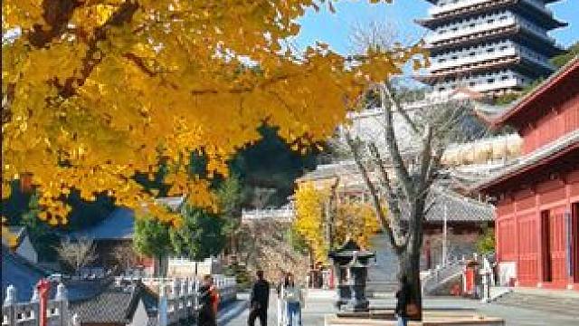 天台桐柏宫，始建于东吴，道教全真派南宗祖庭。