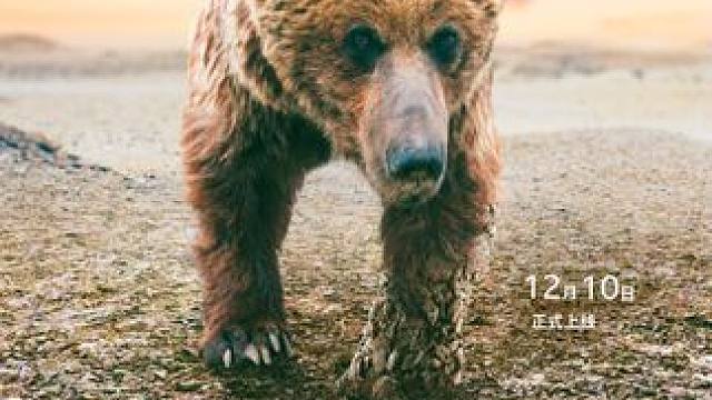 #纪录片《亚洲》  第六集《腹地荒漠》将于12月10日22:00正式登陆东方卫视”新纪实“时段。