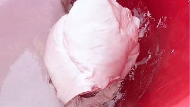 自家制作的红薯粉是纯白纯白的