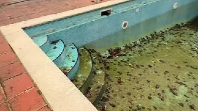 超解压的泳池清洗来咯 #是时候展现真正的技术了 #专业的事情交给专业人去做 #dou来休息一下