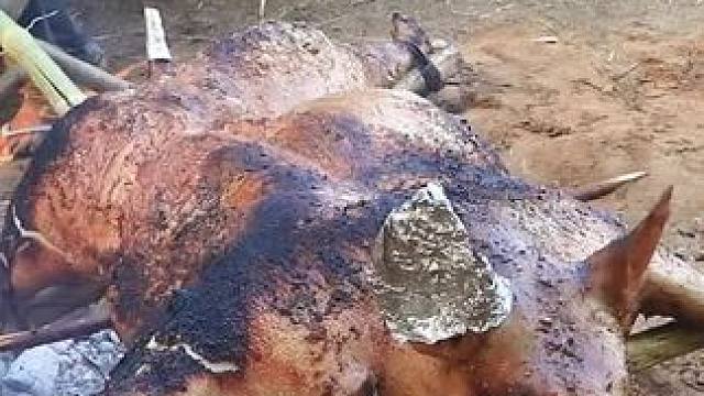 东南亚原始美味 #农村美食#东南亚美食#原始美味