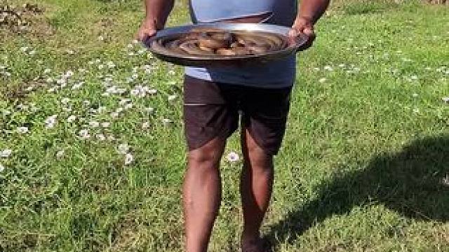 东南亚农场生活 #户外美食#户外抓鱼野炊#农村美食#乡村美食