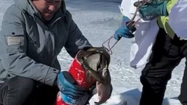 #户外捕鱼 #好多鱼