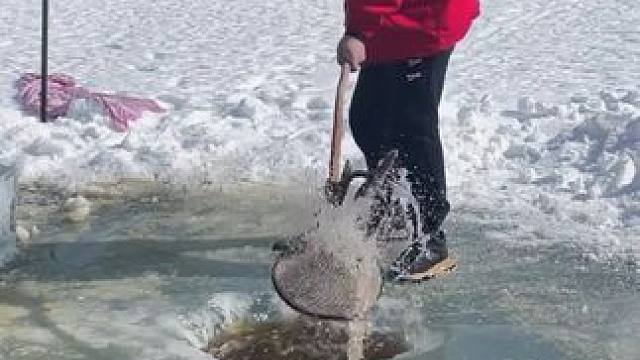 #户外捕鱼 #好多鱼