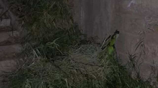 今天找了一个漆黑的桥洞露营，有点不好搞呀 #我的骑行日常 #记录真实生活 #真实户外 #旅行 #刘不