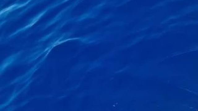 #这鱼哪个钓友看了不羡慕 #12月的鱼应该怎么钓 #钓鱼的乐趣只有钓鱼人