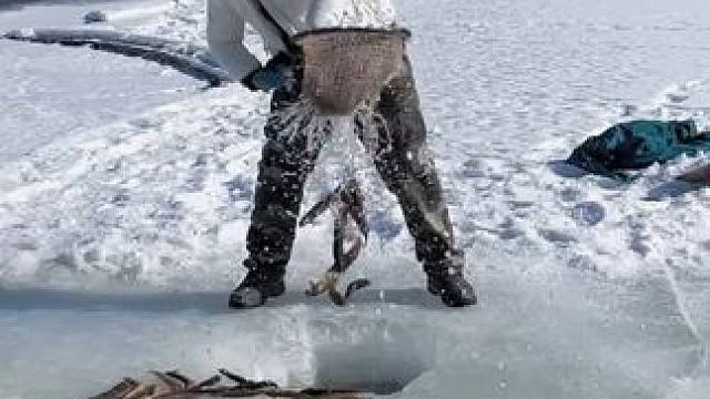 #户外捕鱼 #好多鱼