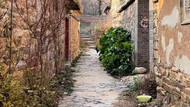 你终于醒了，这是1995年初夏的某个午后，阳光正好，微风不燥。不知不觉中，小时候的记忆已经开始模糊不